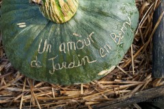 Citrouille gravée - Un amour de jardin en Berry