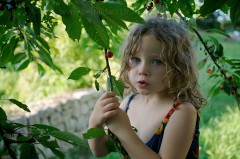 Jeune fille mangeant une cerise