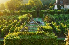 Jardins du prieuré d'Orsan à l'aube