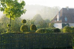 Jardin au lever du soleil