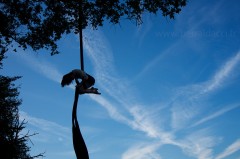 Tissus aérien dans un arbre